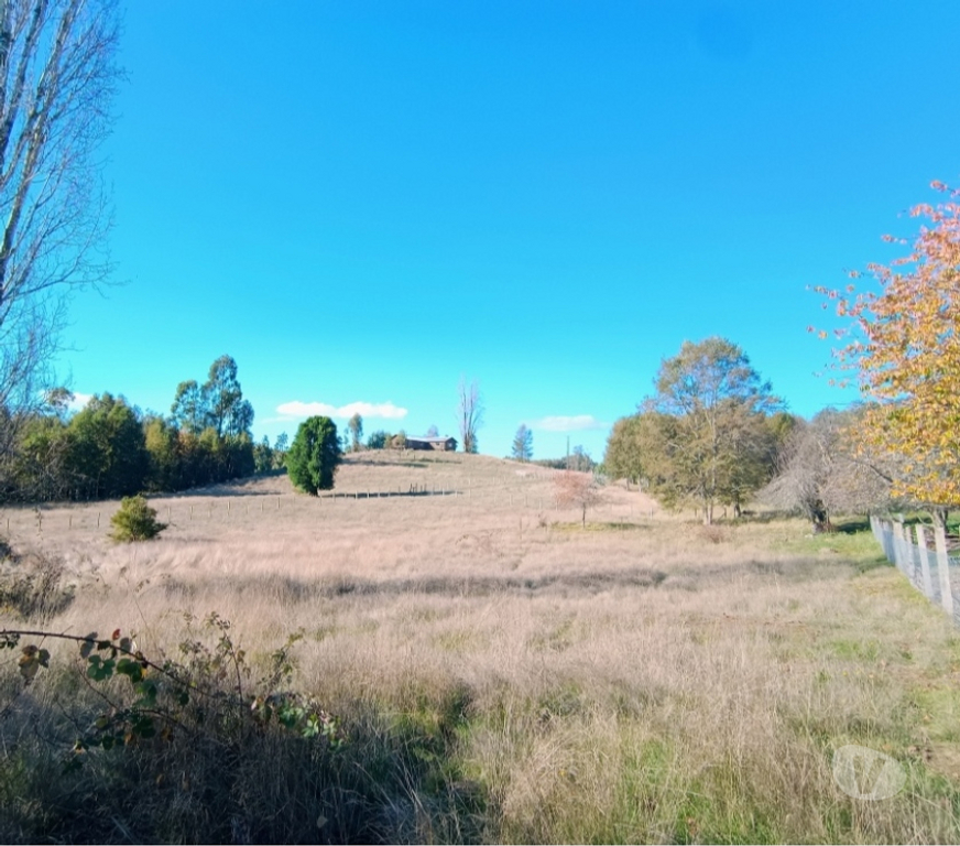 Parcelas en Venta Cautín Villarrica - Fotos de Parcela de ensueño entre Lago Villarrica y Calafquén