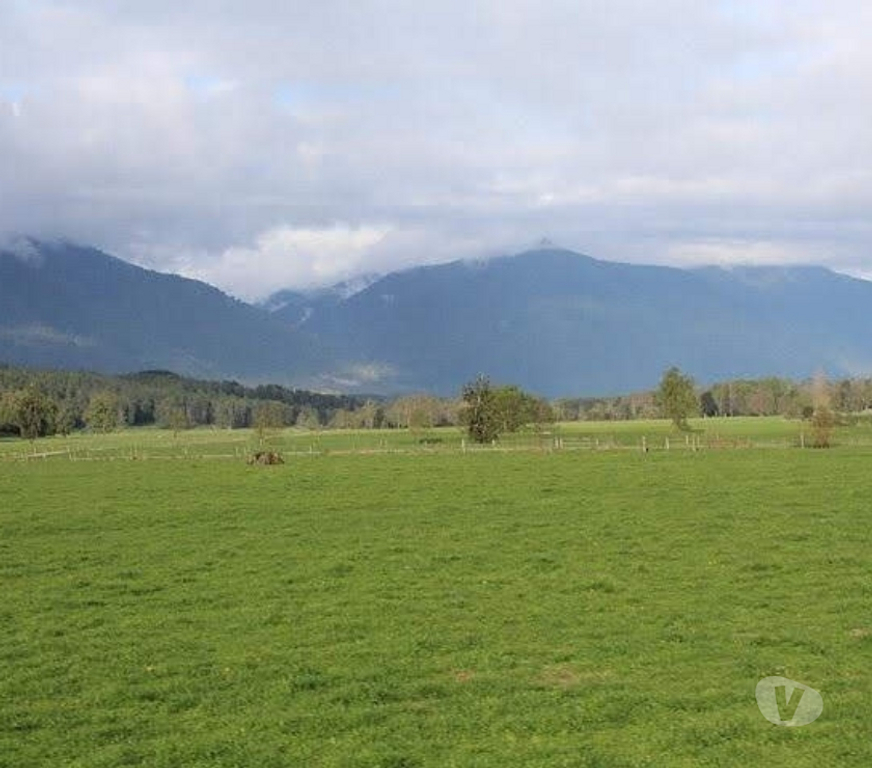 Parcelas en Venta Valdivia Panguipulli - Fotos de Vendemos fundos agrícolas y ganaderos en el sur