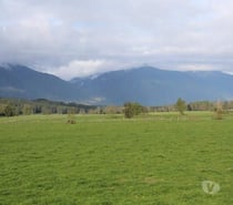 Vendemos fundos agrícolas y ganaderos en el sur