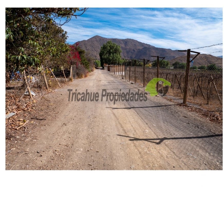 Parcelas en Venta Elqui Vicuña - Fotos de Parcelas10 minutos de Vicuña. Electricidad y agua de riego