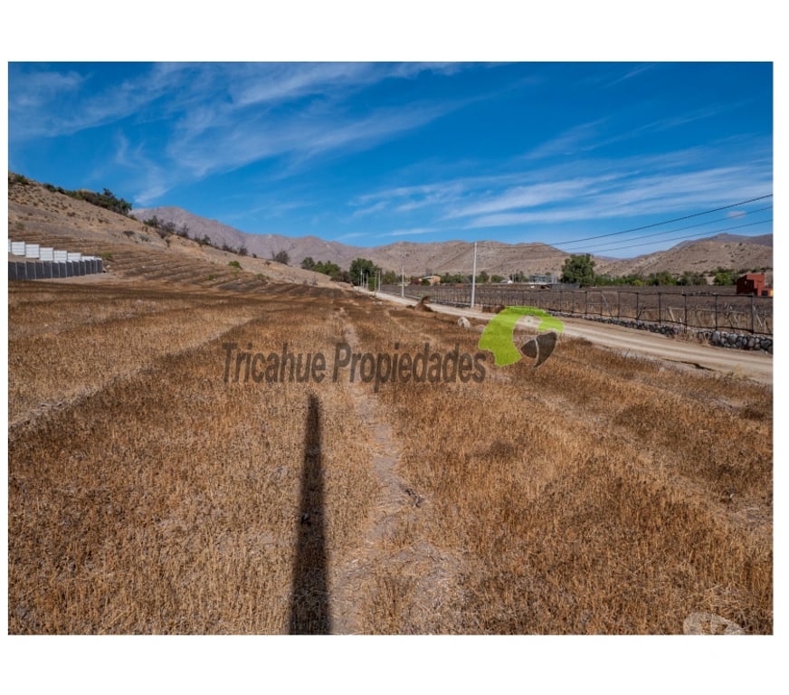 Parcelas en Venta Elqui Vicuña - Fotos de Parcelas10 minutos de Vicuña. Electricidad y agua de riego