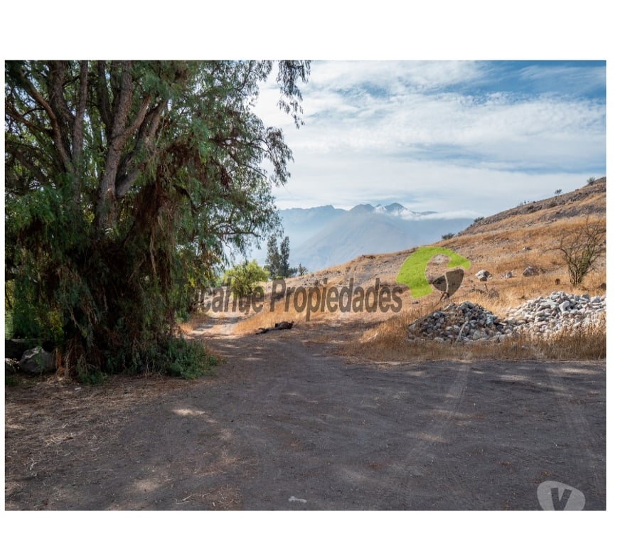 Parcelas en Venta Elqui Vicuña - Fotos de Parcelas10 minutos de Vicuña. Electricidad y agua de riego