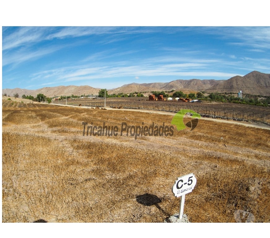 Parcelas en Venta Elqui Vicuña - Fotos de Parcelas10 minutos de Vicuña. Electricidad y agua de riego