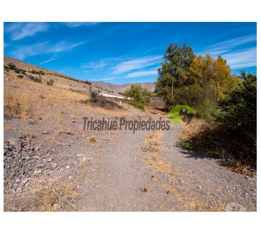 Parcelas en Venta Elqui Vicuña - Fotos de Parcelas10 minutos de Vicuña. Electricidad y agua de riego