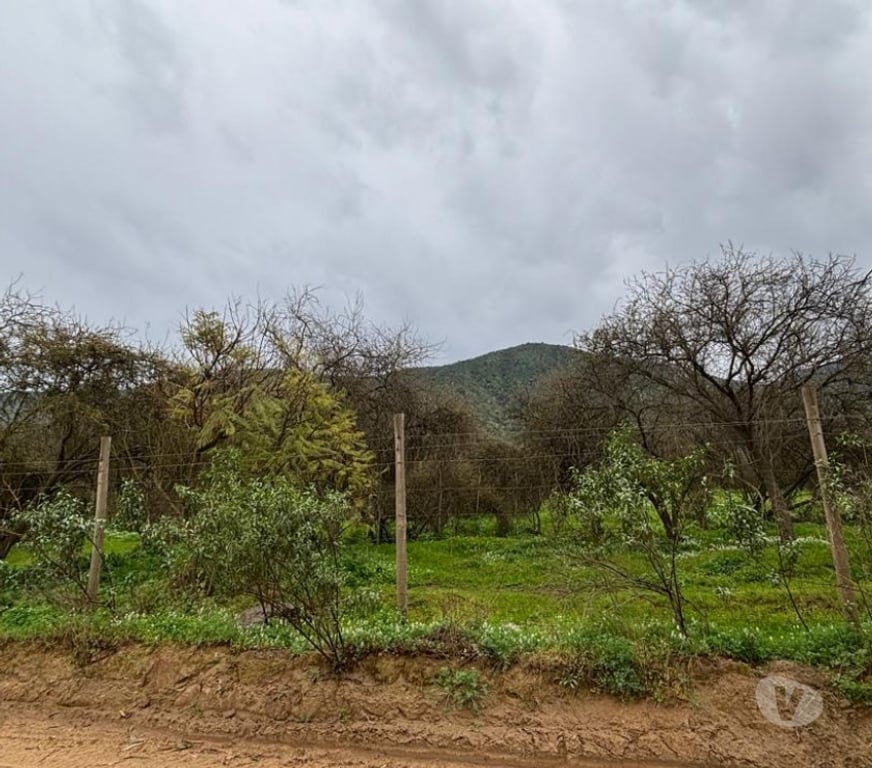 Parcelas en Venta Melipilla Curacav - Fotos de VENDO PARCELA EXCELENTE UBICACION CURACAVI