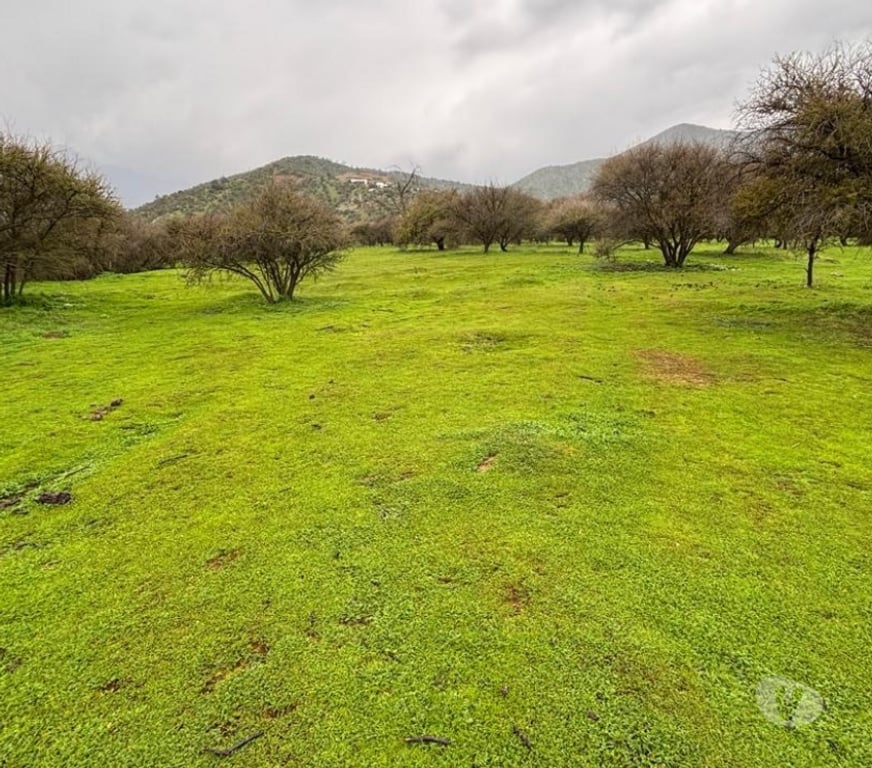 Parcelas en Venta Melipilla Curacav - Fotos de VENDO PARCELA EXCELENTE UBICACION CURACAVI