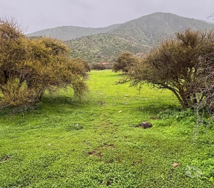 Parcelas en Venta Melipilla Curacav - Fotos de VENDO PARCELA EXCELENTE UBICACION CURACAVI
