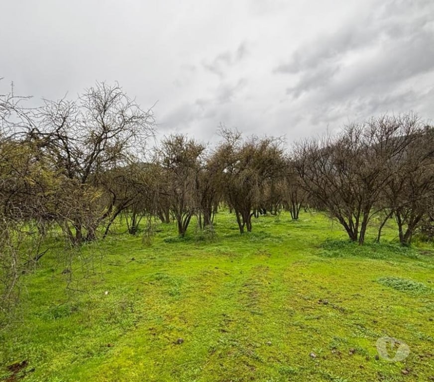 Parcelas en Venta Melipilla Curacav - Fotos de VENDO PARCELA EXCELENTE UBICACION CURACAVI