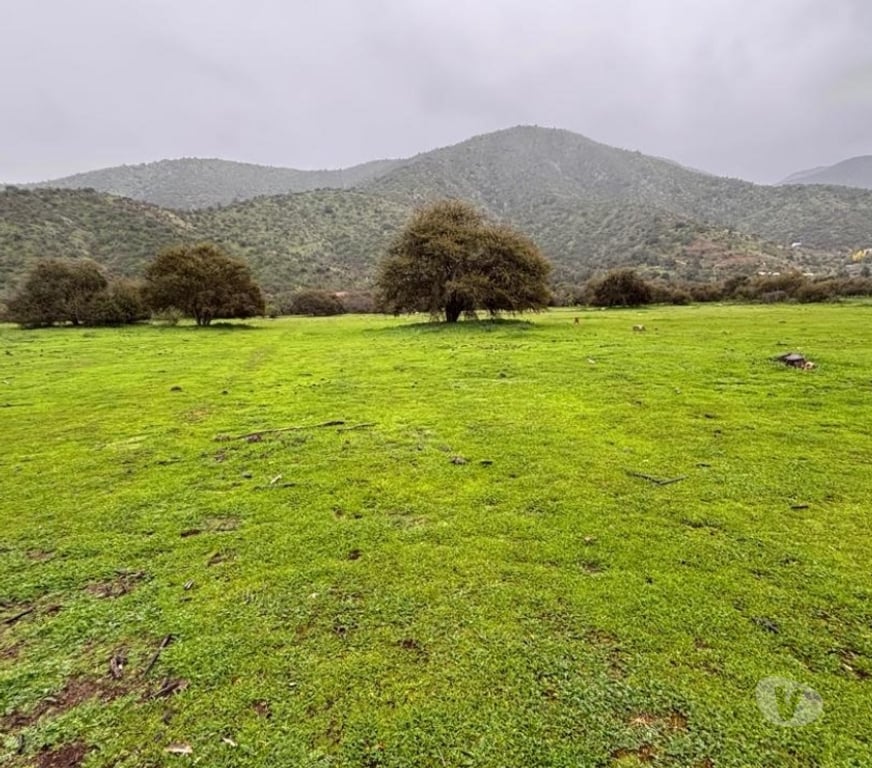 Parcelas en Venta Melipilla Curacav - Fotos de VENDO PARCELA EXCELENTE UBICACION CURACAVI