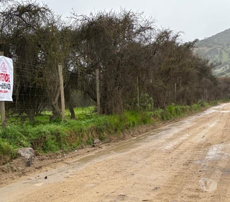 Parcelas en Venta Melipilla Curacav - Fotos de VENDO PARCELA EXCELENTE UBICACION CURACAVI
