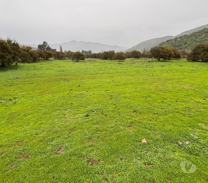 Parcelas en Venta Melipilla Curacav - Fotos de VENDO PARCELA EXCELENTE UBICACION CURACAVI