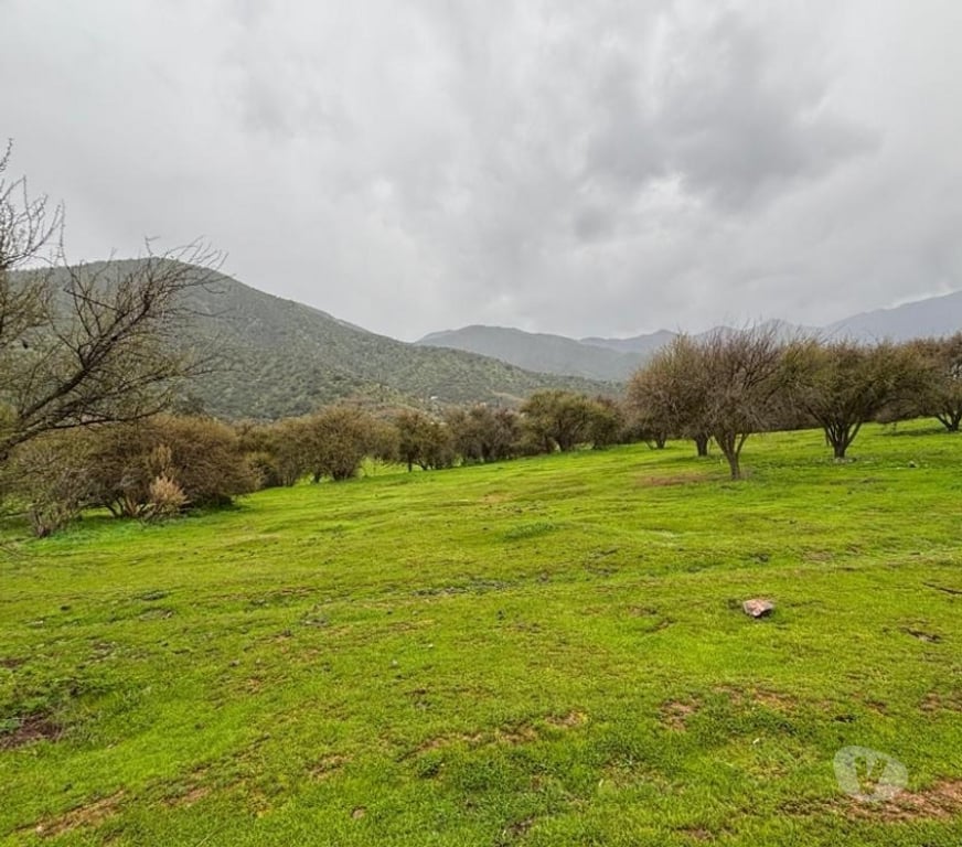Parcelas en Venta Melipilla Curacav - Fotos de VENDO PARCELA EXCELENTE UBICACION CURACAVI