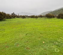 Fotos de VENDO PARCELA EXCELENTE UBICACION CURACAVI