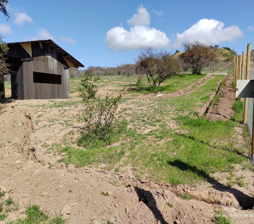 Parcelas en Venta Colchagua Nancagua - Fotos de Parcela Rapel 5000 m. con casa medio construir