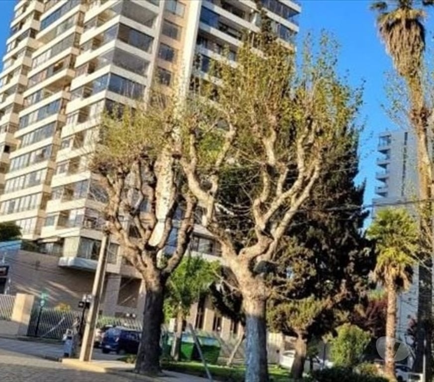 Arriendo de piezas Valparaíso Viña del Mar - Fotos de Arriendo pieza ubicado en centro de viña del mar