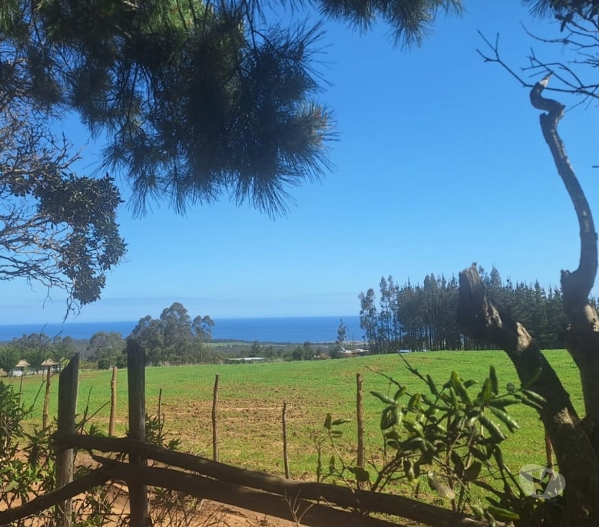 Parcelas en Venta Cardenal Caro Pichilemu - Fotos de Terreno en Cahuil