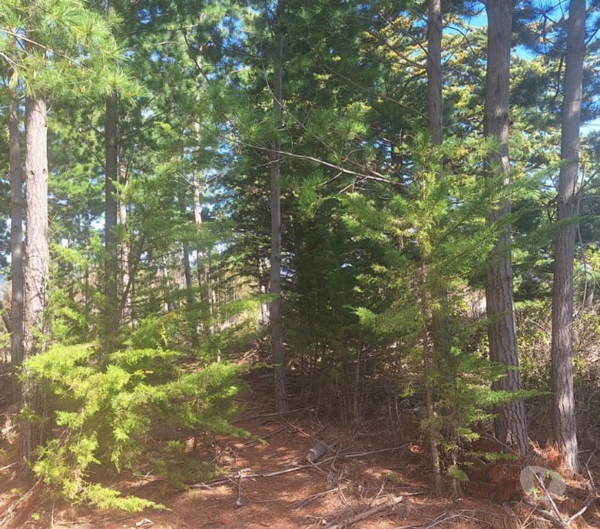 Parcelas en Venta Cardenal Caro Pichilemu - Fotos de Terreno en Cahuil