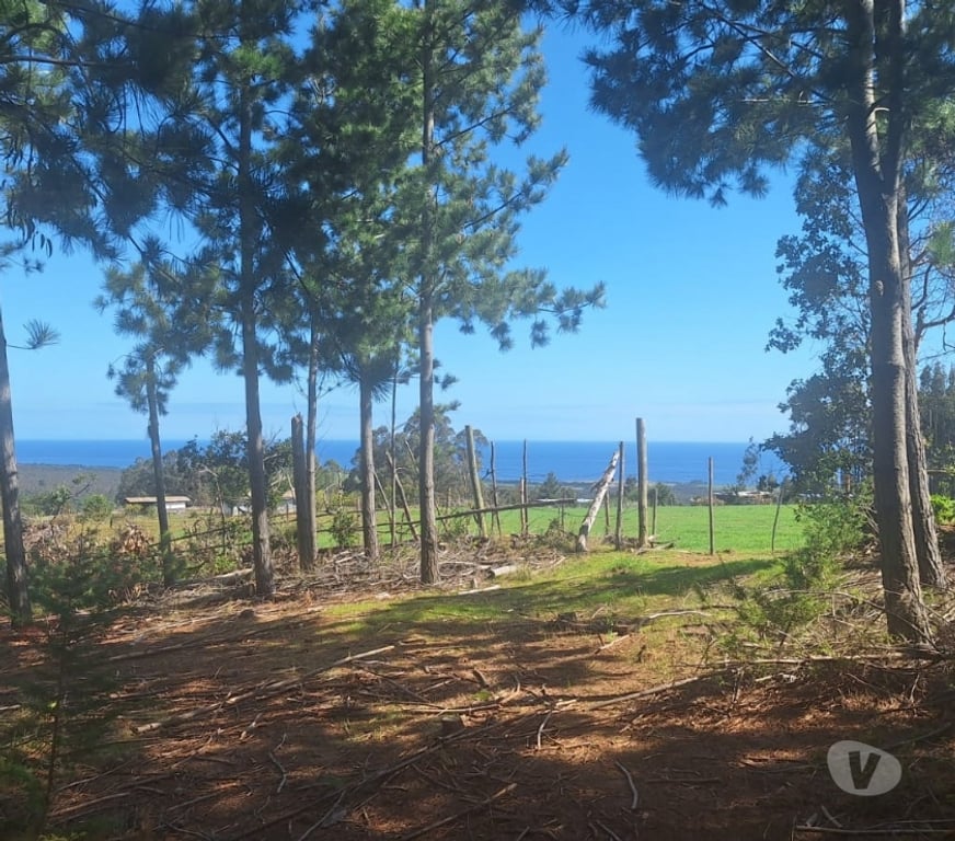 Parcelas en Venta Cardenal Caro Pichilemu - Fotos de Terreno en Cahuil