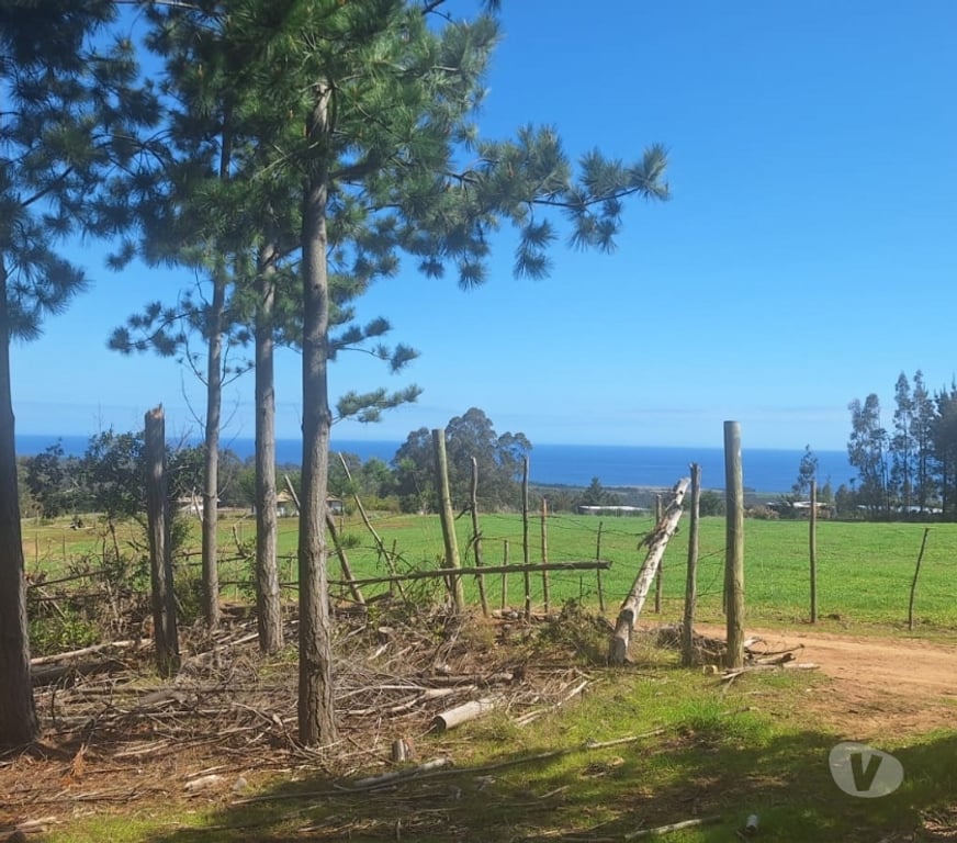 Parcelas en Venta Cardenal Caro Pichilemu - Fotos de Terreno en Cahuil