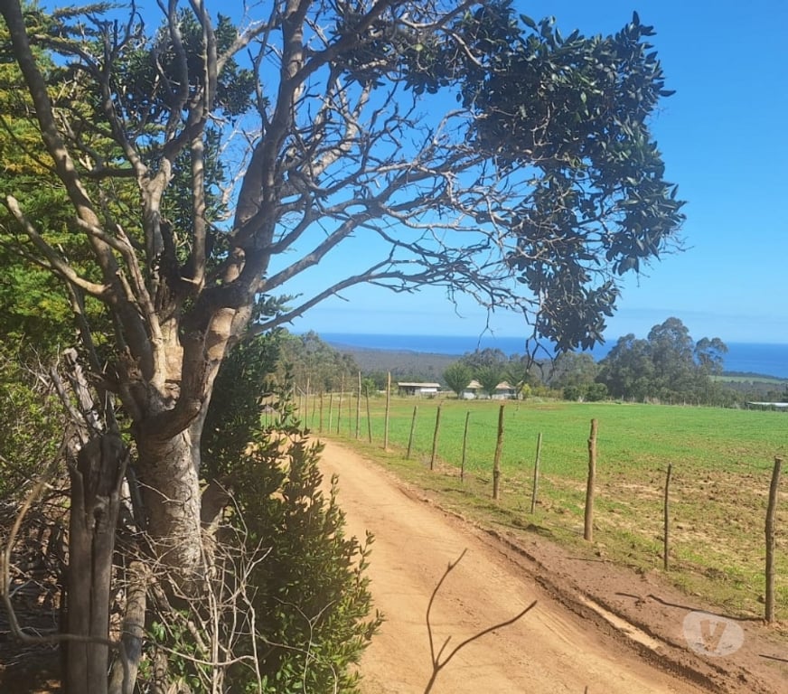 Parcelas en Venta Cardenal Caro Pichilemu - Fotos de Terreno en Cahuil