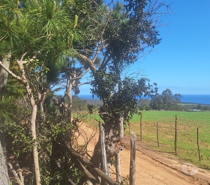 Parcelas en Venta Cardenal Caro Pichilemu - Fotos de Terreno en Cahuil
