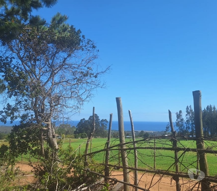 Parcelas en Venta Cardenal Caro Pichilemu - Fotos de Terreno en Cahuil