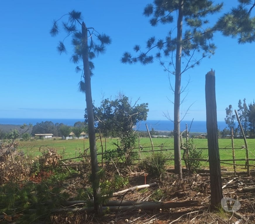 Parcelas en Venta Cardenal Caro Pichilemu - Fotos de Terreno en Cahuil
