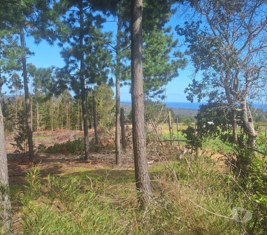 Parcelas en Venta Cardenal Caro Pichilemu - Fotos de Terreno en Cahuil