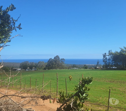 Parcelas en venta Pichilemu Cardenal Caro - Fotos de Terreno en Cahuil