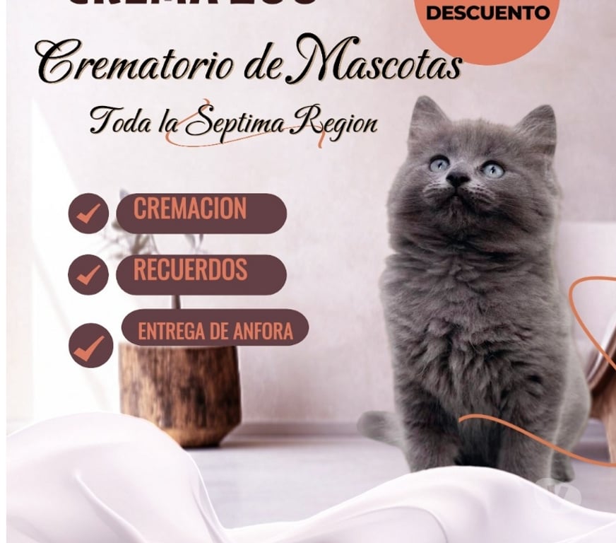 Veterinarios-Servicios-Accesorios Talca Talca - Fotos de DESPEDIDAS A MASCOTAS