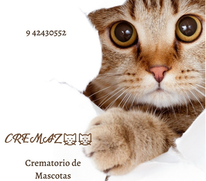 Veterinarios-Servicios-Accesorios Talca Talca - Fotos de DESPEDIDAS A MASCOTAS