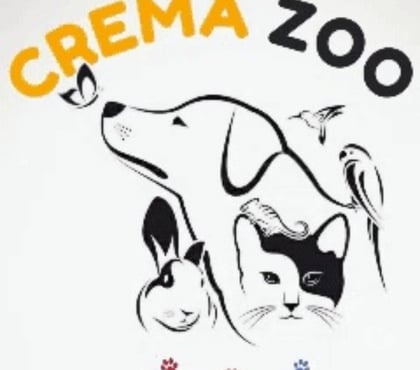 Veterinarios-Servicios-Accesorios Talca Talca - Fotos de DESPEDIDAS A MASCOTAS