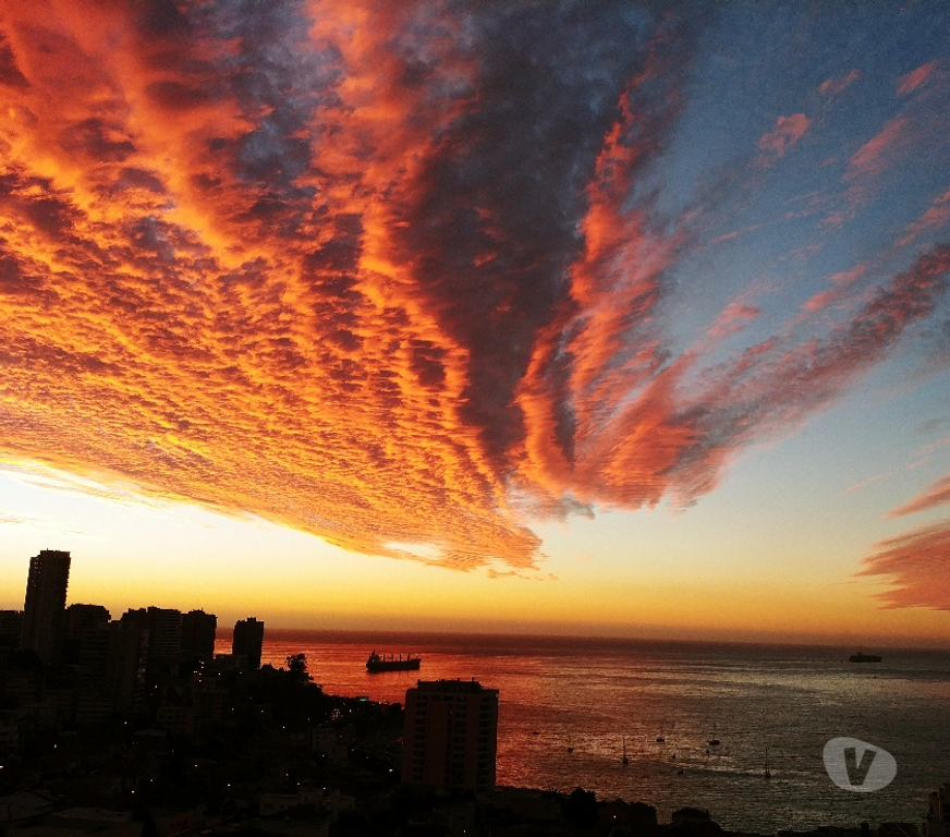 Arriendo de piezas Valparaíso Viña del Mar - Fotos de Para Profesionales por Contrato o Estudiantes de Posgrado