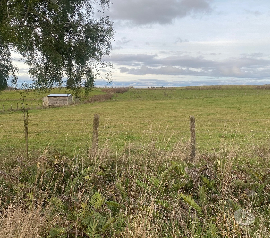 Parcelas en Venta Llanquihue Los Muermos - Fotos de Se vende terreno de media hectárea