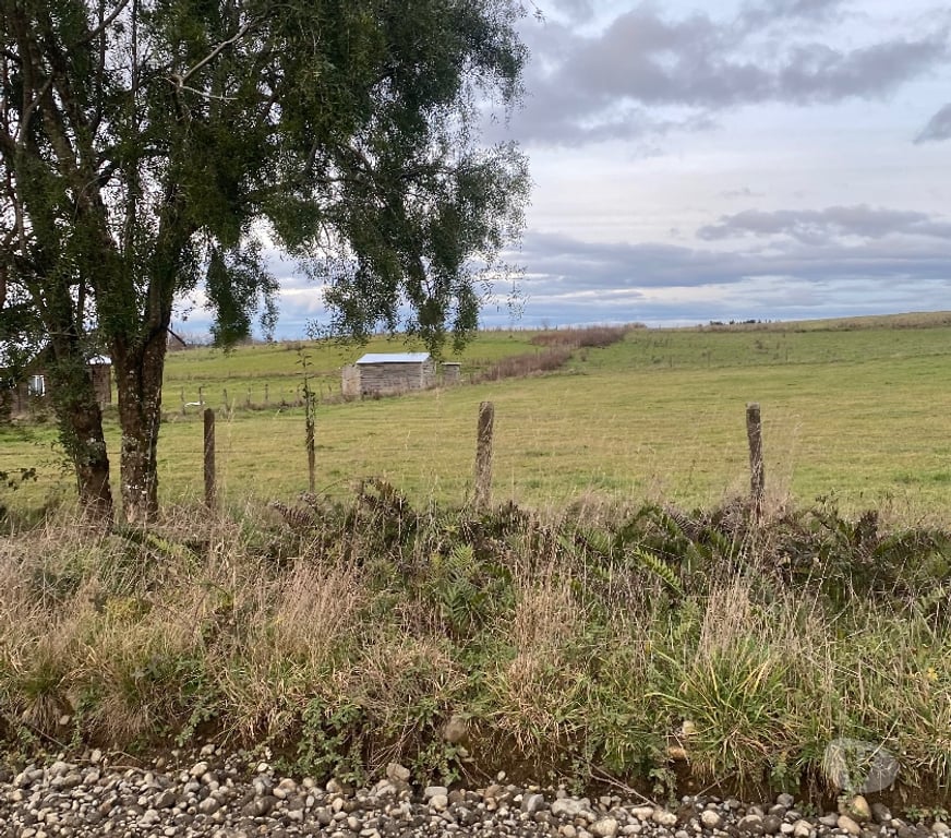Parcelas en Venta Llanquihue Los Muermos - Fotos de Se vende terreno de media hectárea