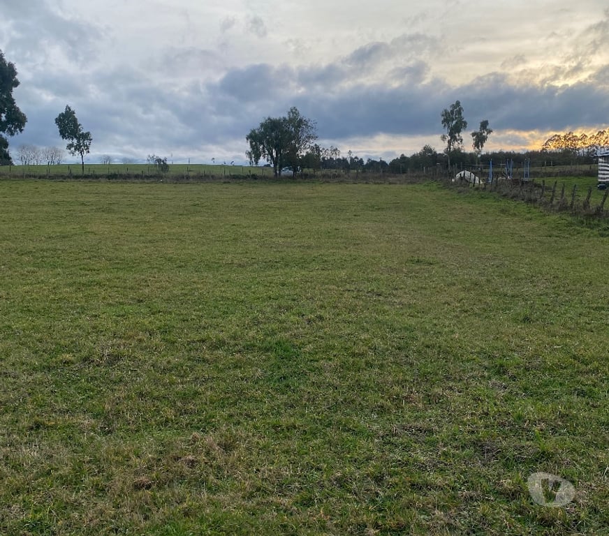 Parcelas en Venta Llanquihue Los Muermos - Fotos de Se vende terreno de media hectárea