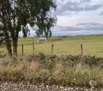 Se vende terreno de media hectárea