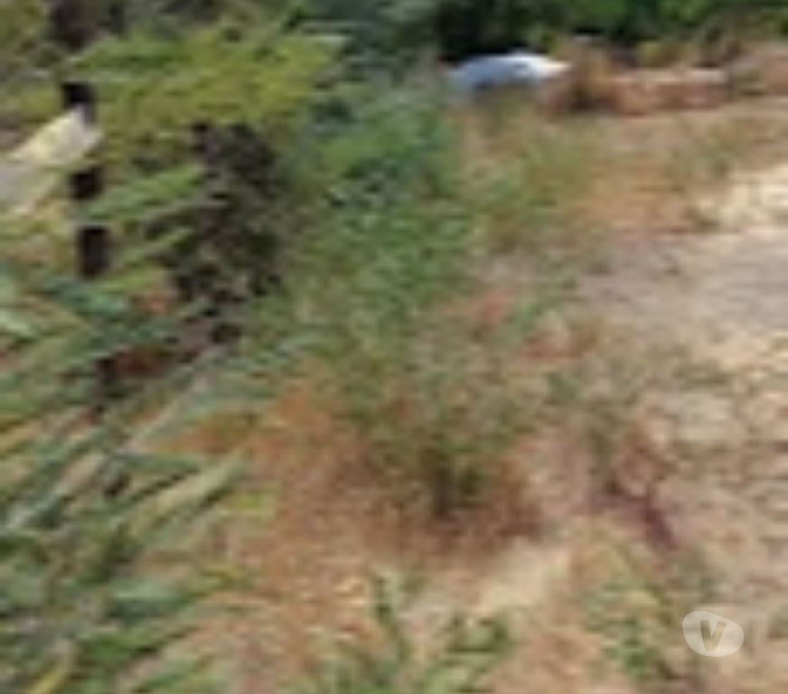Parcelas en Venta Ñuble Chillán Viejo - Fotos de VENDO TERRENO EN CHILLAN