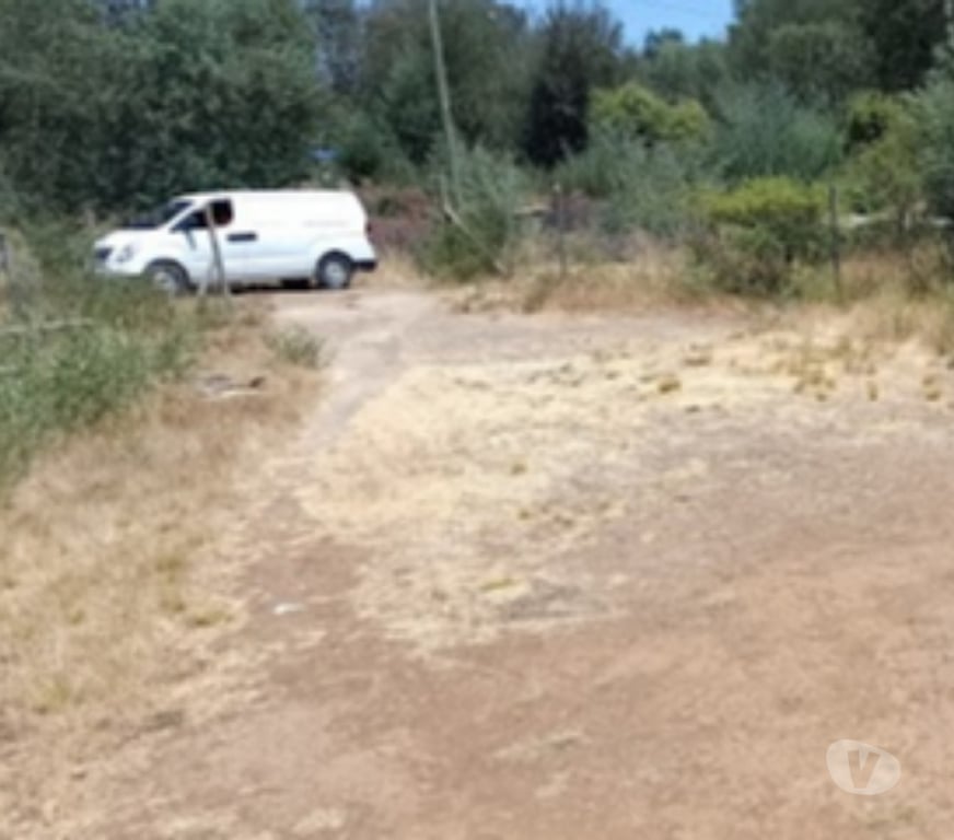 Parcelas en Venta Ñuble Chillán Viejo - Fotos de VENDO TERRENO EN CHILLAN