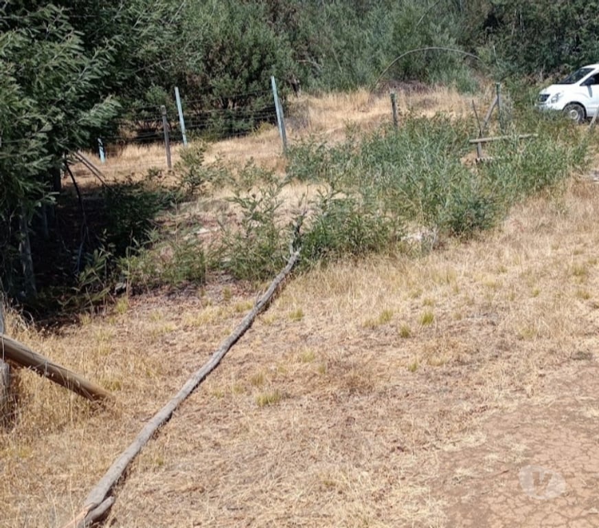 Parcelas en Venta Ñuble Chillán Viejo - Fotos de VENDO TERRENO EN CHILLAN