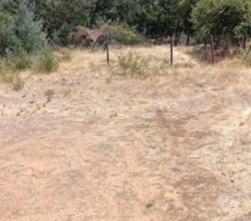 Parcelas en Venta Ñuble Chillán Viejo - Fotos de VENDO TERRENO EN CHILLAN