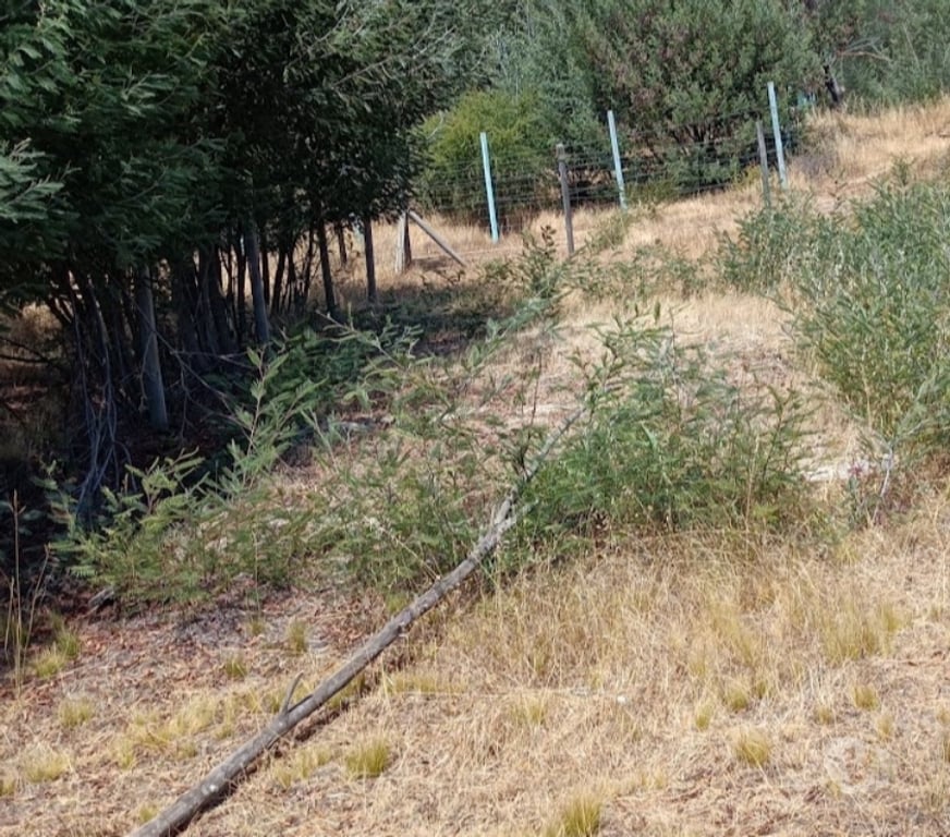 Parcelas en Venta Ñuble Chillán Viejo - Fotos de VENDO TERRENO EN CHILLAN