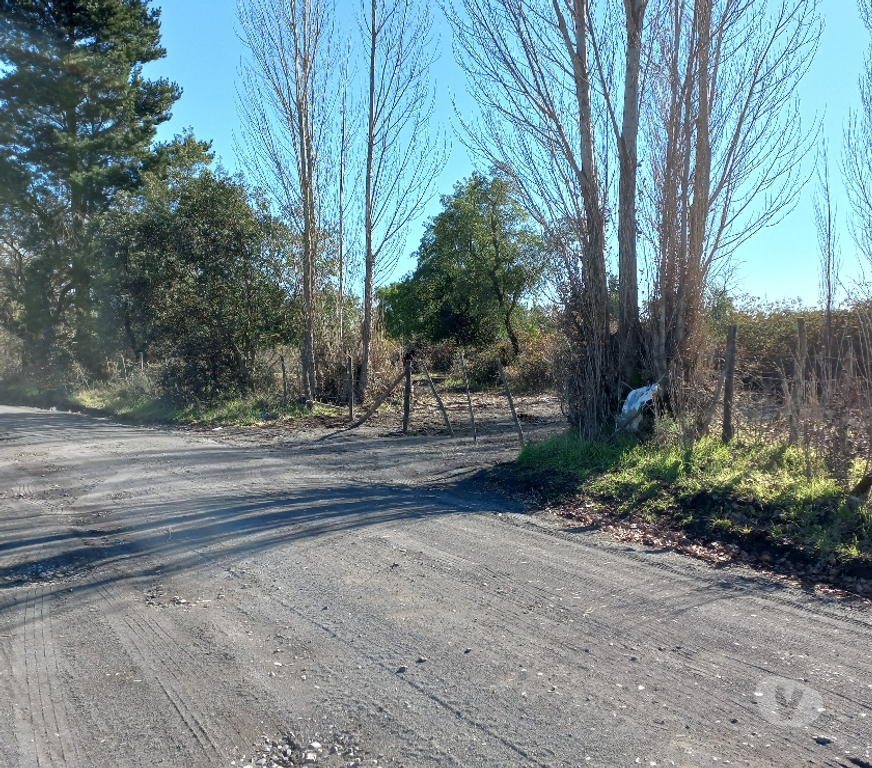 Parcelas en Venta Bío-Bío Los Ángeles - Fotos de vendo parcela de 5000m2 en Los ÁNGELES