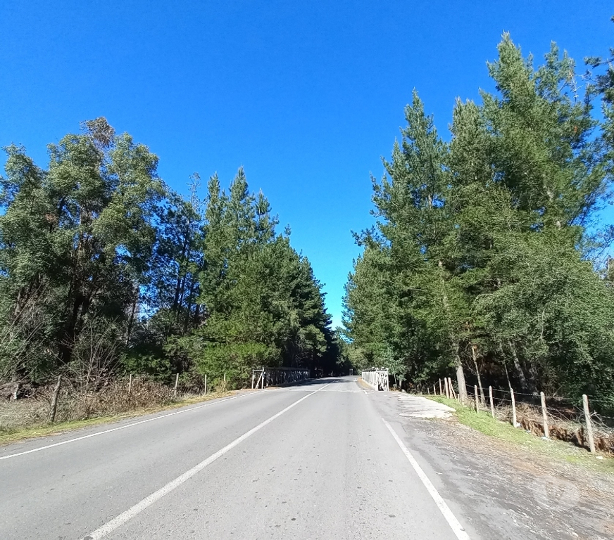 Parcelas en Venta Bío-Bío Los Ángeles - Fotos de vendo parcela de 5000m2 en Los ÁNGELES