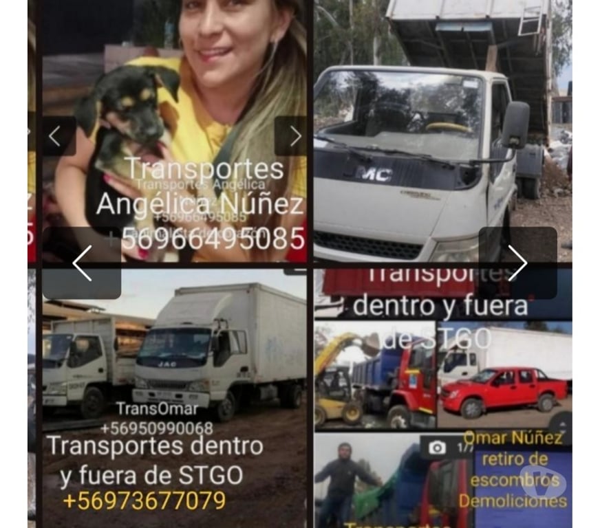 Fletes y Mudanzas - Transportes Santiago La Florida - Fotos de limpieza de terreno la florida la Pintana el bosque hoy