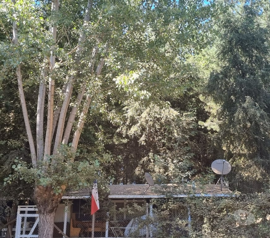 Bienes Raices Ñuble San Fabián - Fotos de PARCELA DE 5.000 MTS 2 CON CASA inteligente de 92 MT2