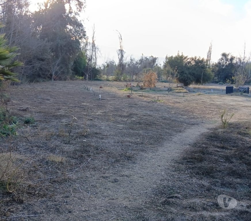 Parcelas en Venta San Felipe de Aconcagua Putaendo - Fotos de PARCELA 5000 M2 CASA 3D 2B FRUTALES VENTA DIRECTA PUTAENDO