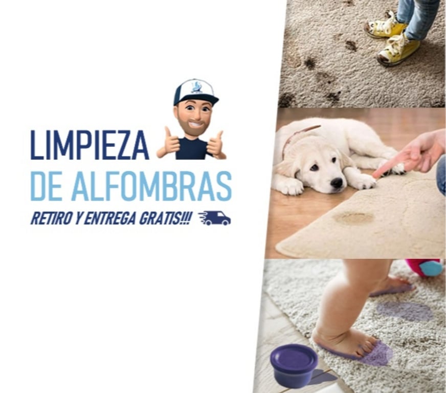 Reparaciones-Decoraciones Santiago Las Condes - Fotos de LIMPIEZA DE ALFOMBRAS DECORATIVAS