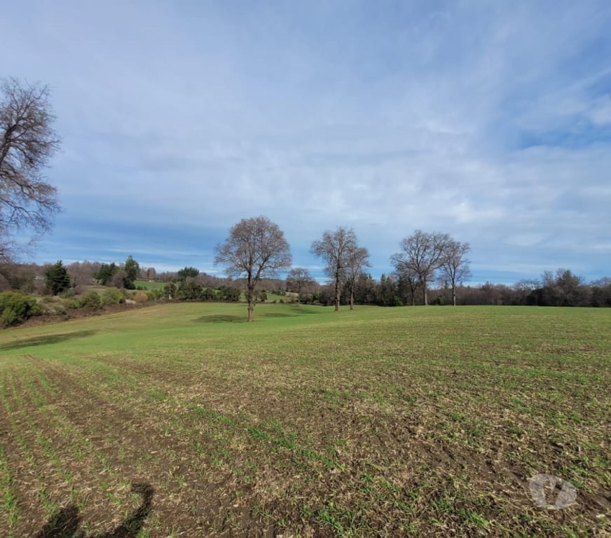 Parcelas en Venta Ñuble El Carmen - Fotos de VENDO TERRENO AGRICOLA EN ZAPALLAR, EL CARMEN