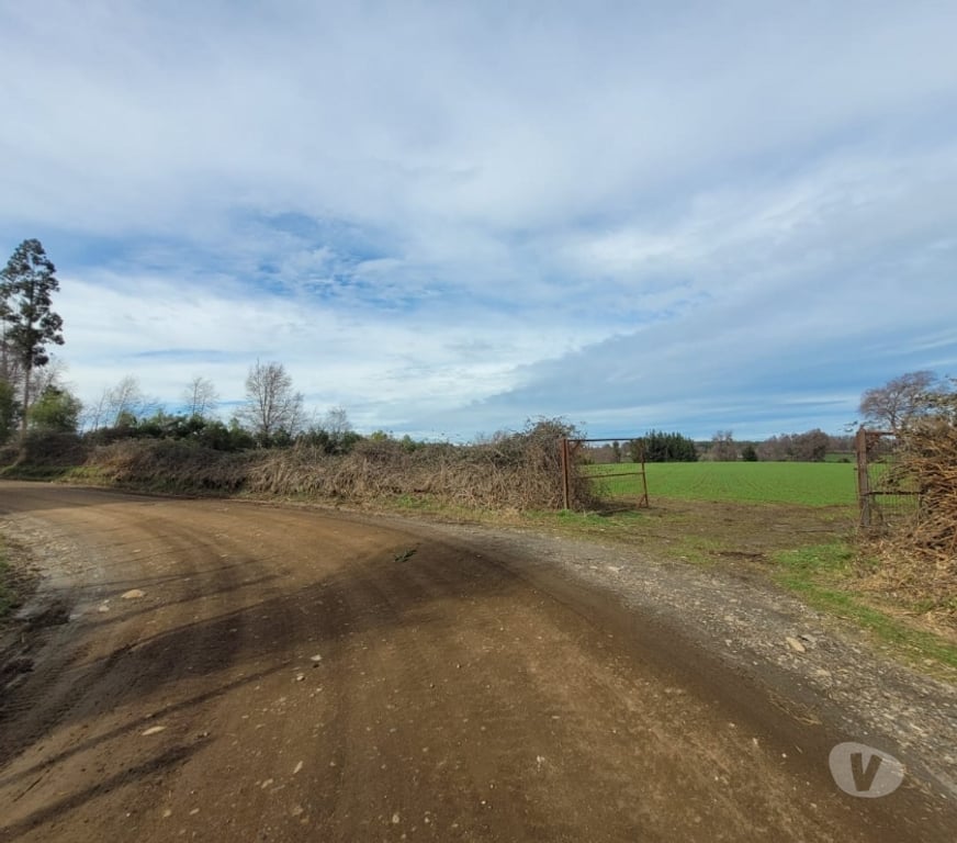 Parcelas en Venta Ñuble El Carmen - Fotos de VENDO TERRENO AGRICOLA EN ZAPALLAR, EL CARMEN